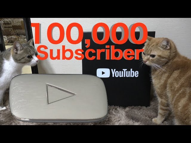 猫たちとYouTube銀の再生ボタン