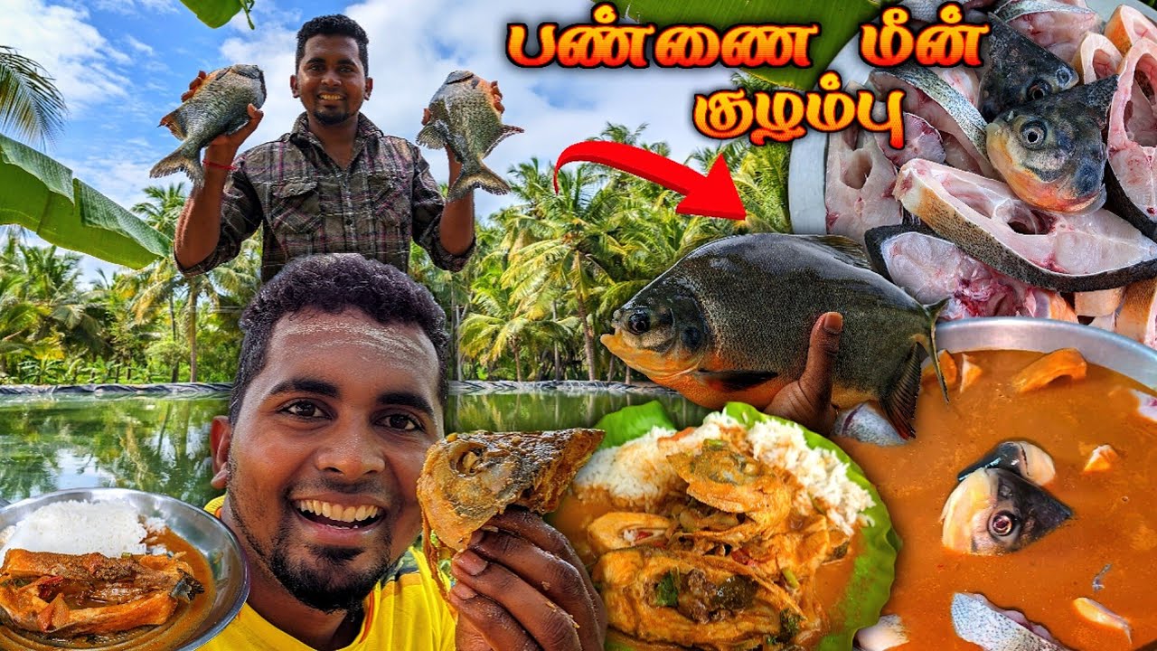 🔥பக்காவான பண்ணை மீன் குழம்பு | VILLAGE FISH CURRY KULAMPU | SEA FOOD | COOKING | K7