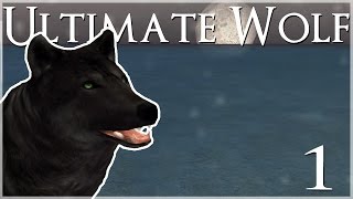 A Lost, Lonely Wolf in the Snow • Ultimate Wolf Simulator - Episode #1