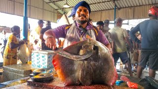 The Ultimate Guide to Stingray Fish Cutting : How to Cut The Stingray Fish for Food