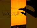 Nifty Trading Liquidity Concept