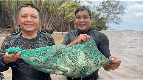 Cao Thủ Mò Tôm Sông Bắt Cá Ngát Trúng Mánh 5kg Hốt Đã Tay Bữa Nay Luôn | Cù Lao Dung Vlogs