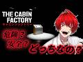 【The Cabin Factory 】ケンくん生配信