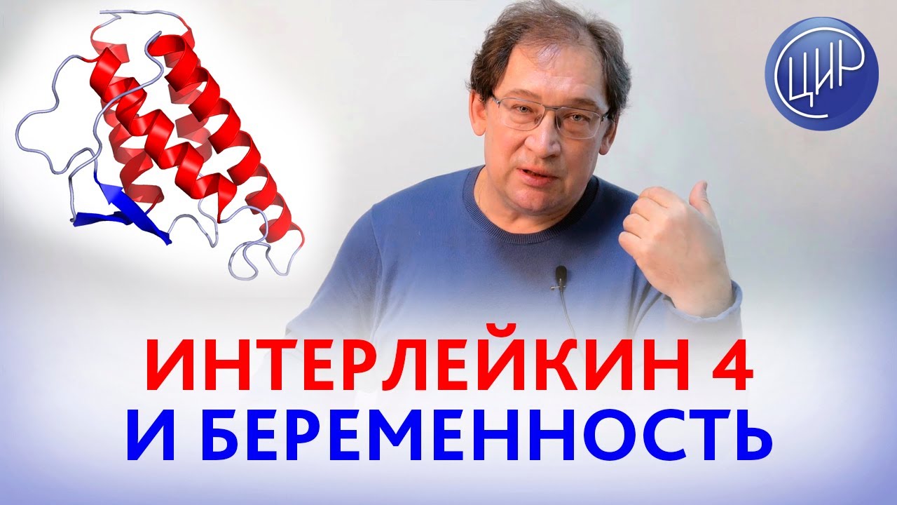 Интерлейкин 4. Полиморфизмы интерлейкина 4, беременность и склонность к ...