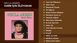 Sökün Ayı Geldi - Necla Akben