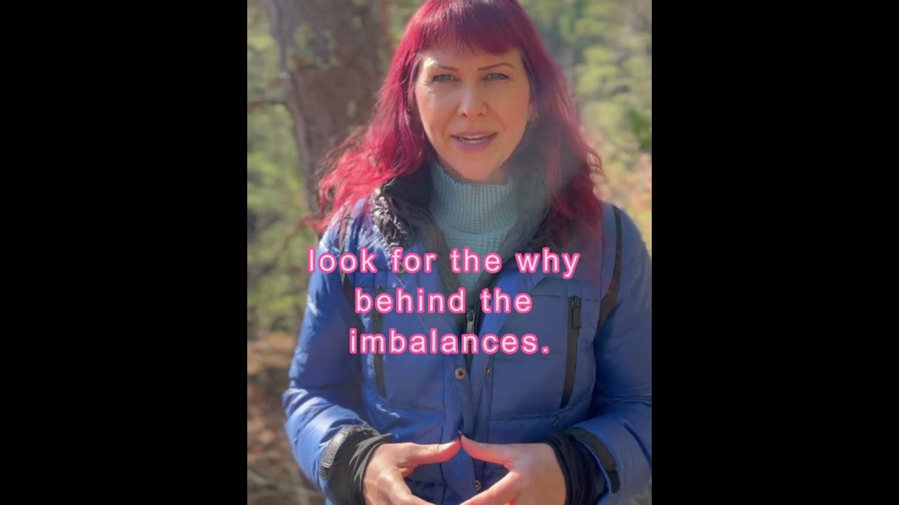 Why Insulin Resistance Develops | A Functional Medicine Perspective