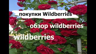 Красивые и полезные покупки с Wildberries! Обзор покупок Вайлдберриз!