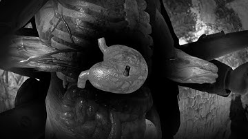 Sniper Elite 4: Double Kill