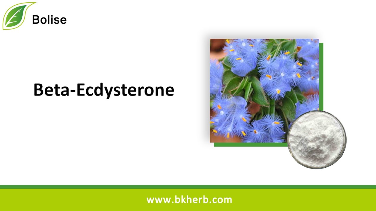 Hot Sales Beta-Ecdysterone/20-Hydroxyecdysone(CAS 5289-74-7) For Supplements