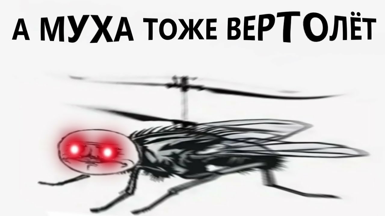 Какая вы муха. А Муха тоже вертолет. Муха вертолет. Мемы Муха тоже вертолет. Мем а Муха тоже вертолет.