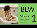 BLW video 1 - Introducción de sólidos a la dieta de un bebé