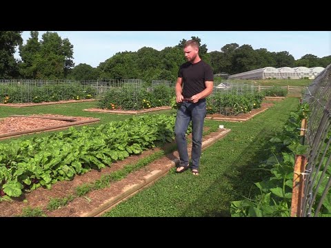 Vegetable Garden Tour. Mid July 2021