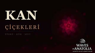 Kan Çiçekleri Deep House & Experimental Pop Cover