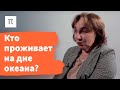 Экстремофилы — Елизавета Бонч-Осмоловская / ПостНаука