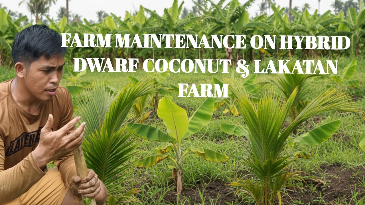 Farm Maintenance for Sustainable Farming