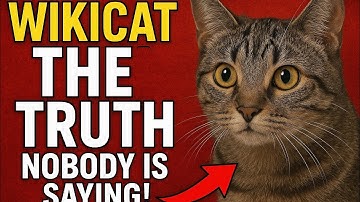 🔥 “WikiCat: The Shocking Truth Nobody Has Dared to Say… Until Now!”