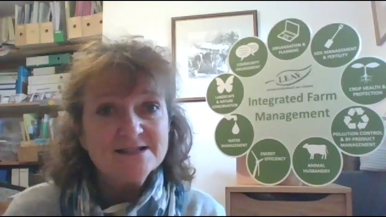 FPJ Stories Caroline Drummond YouTube