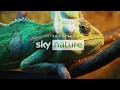Sky Nature Trailer 