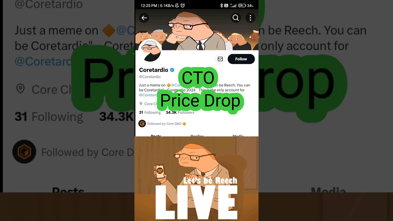 CTO Coin Price Pump & Dump 