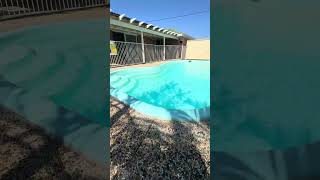 The pool at 8 Taylor Street is always sparkling!