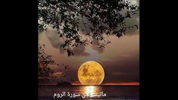 ماتيسر من سورة الروم/محمد يوسف عبد الجواد