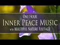 1 hr inner peace music  with beautiful spring nature footage to reenergize you