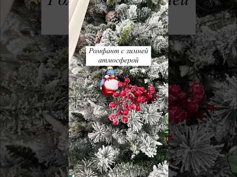 Ромфант с зимней атмосферой 📚🎄