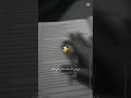 قلبي معذب لكن بعده على حبك صادق بوعده قلبي معذب لكن بعده على حبك صادق بوعده
