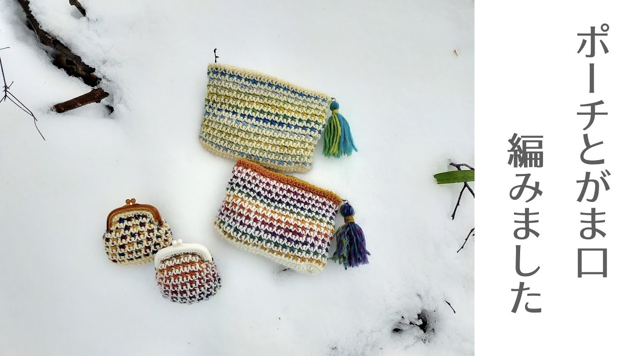 Crocheted a Pouch and Clasp Purse with a Single and Chain Stitch
