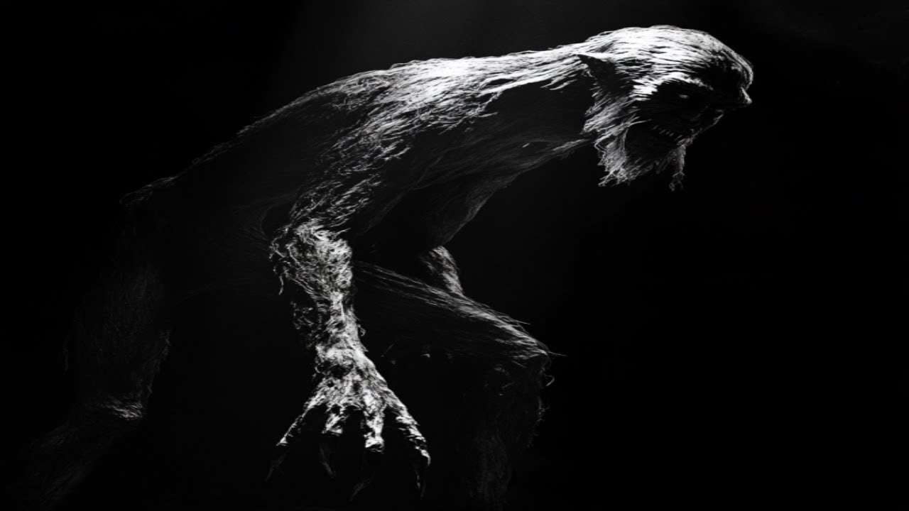Why the South is Hiding the Weirdest Cryptids - YouTube