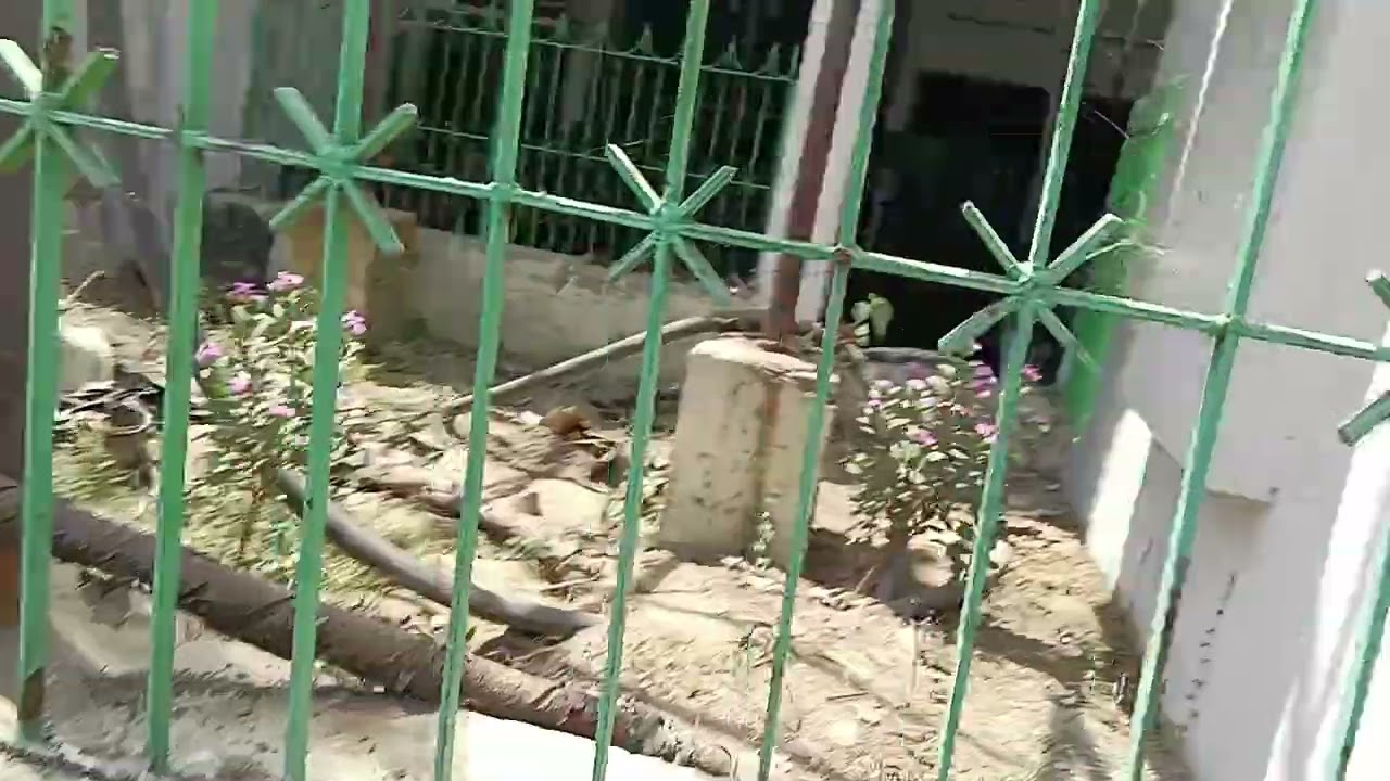 Sudha Dairy Barauni Begusarai DRMU 🔥🔥19/04/2024