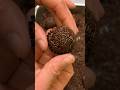 Como deixar seus brigadeiros redondinhos!