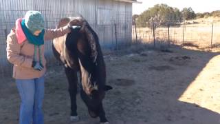 Zuzka and Ruella Meet