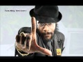 Island Vibes Riddim Mix 2011 Chimney Records Brand New January 2011 mp3