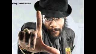 Island Vibes Riddim Mix 2011 [Chimney Records] (Brand New January 2011)