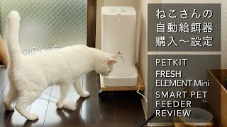 【自動給餌器】ペットキット/PETKIT/設定/猫/一人暮らし