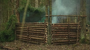 A man built a shelter under a fallen tree to survive in the forest.