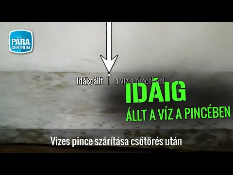 Videó: 24 Súlyos tények a vezetékről