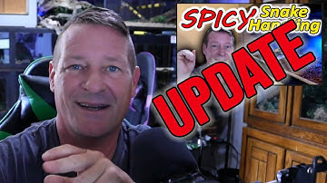 Spicy Reticulated Python Handling Update