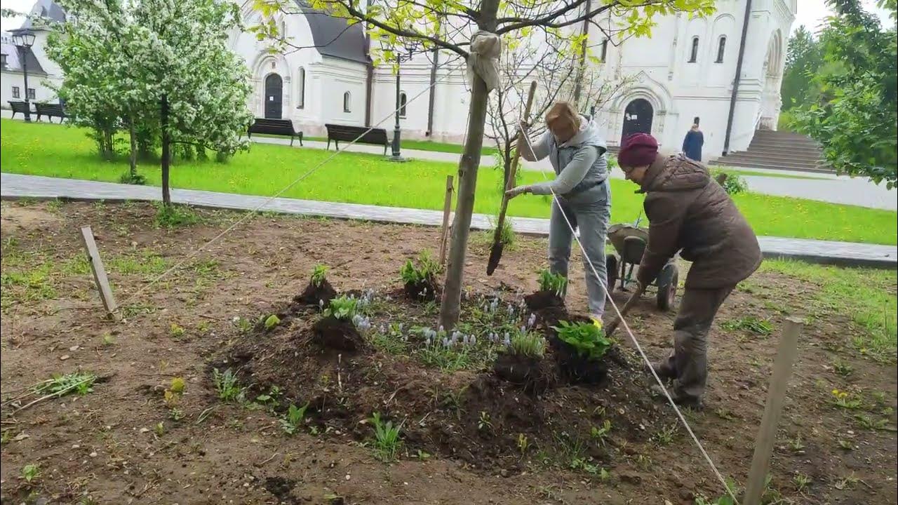 Раевский сад. Раевский сад. Фок раевский альшеевский. Музей декабриста раевского олонки. Раевский сад в москве фото.