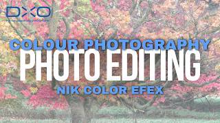 Get the most out of colour in your photos with DxO's Nik Color Efex