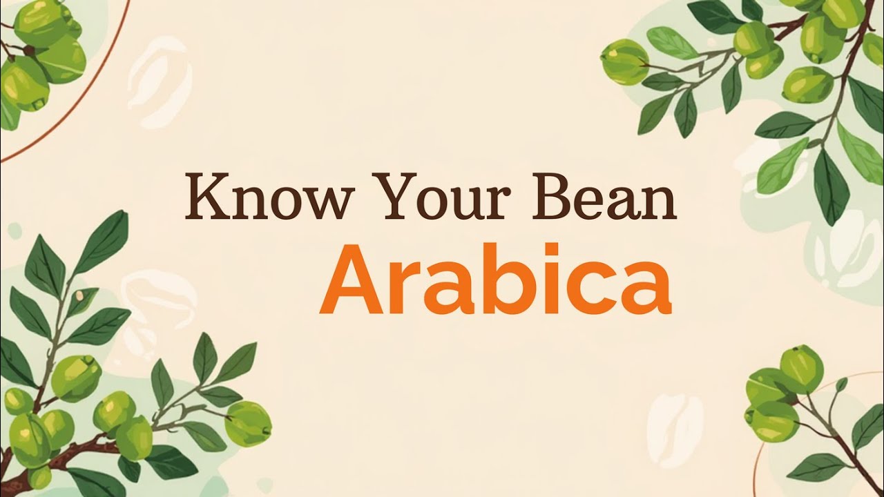 Know Your Bean Arabica Varieties   by Coffee Picks