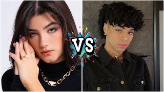 Famous Charli D Amelio Vs Larray Real Age Lifestyle Biography Wealth