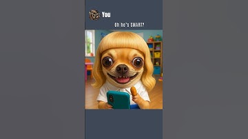 This Chihuahua Boi Smart?! 🤔🐶#ai #aiart #chatgpt #memes