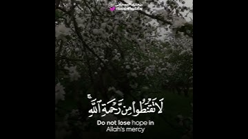 حالات واتس قران كريم بصوت من القلب ❤️🍃😴❣اجمل حالات واتس اب دينيه تلاوة تبكي القلوب 🍃❤️