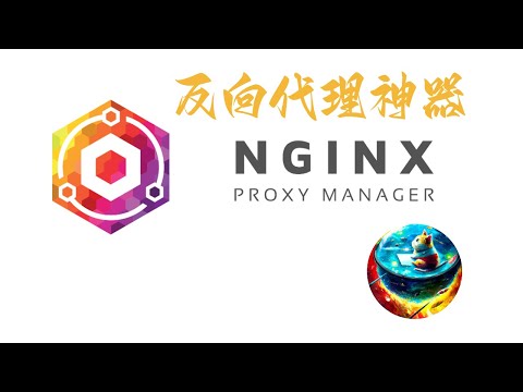 带界面的反向代理神器Nginx Proxy Manager，自带一键申请SSL证书