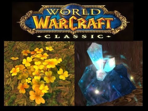 Video: Legioni Löytää World Of Warcraft -hoidon Vaaleimmalla Mahdollisella Terveydellä