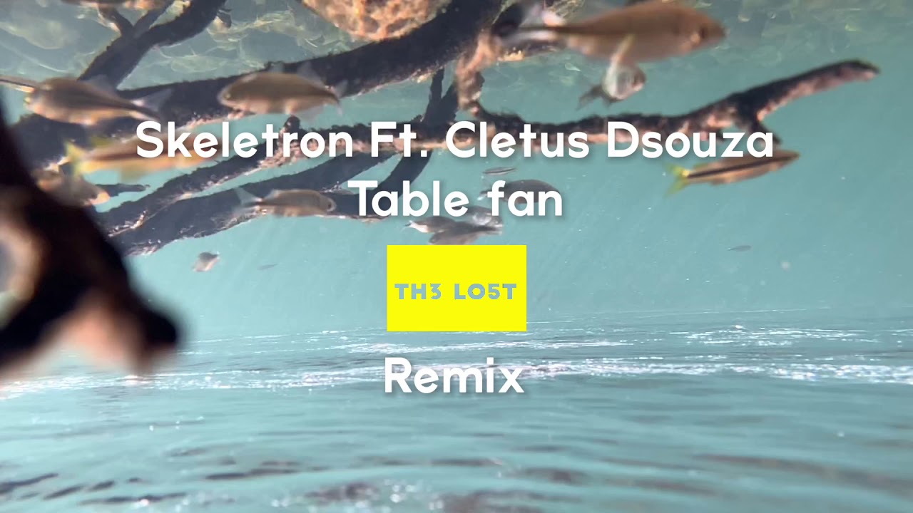 Skeletron Ft. Cletus Dsouza Table fan- (Th3 Lo5t Remix)