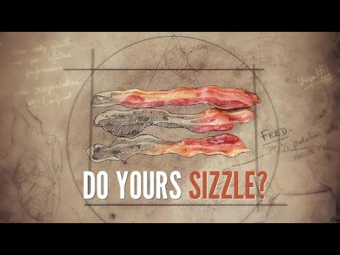 ONE 18 - Ideas Change Pork