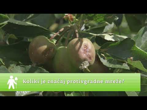 Video: Kako Pronaći Radijus